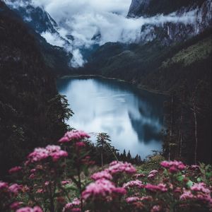 Preview wallpaper lake, mountains, fog, flowers, rocks