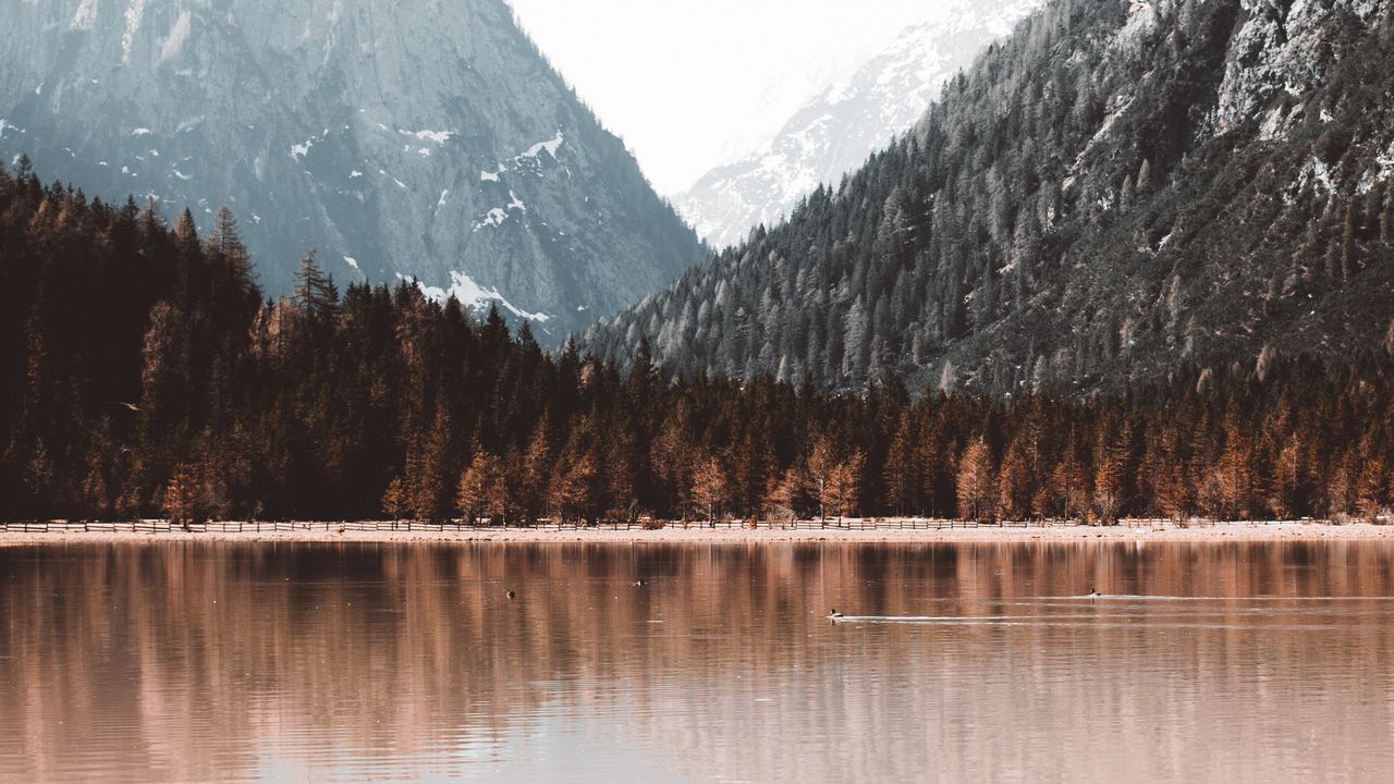 Wallpaper lake, mountains, forest, shore, landscape