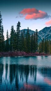 Preview wallpaper lake, mountains, forest, landscape, nature