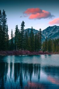 Preview wallpaper lake, mountains, forest, landscape, nature