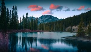 Preview wallpaper lake, mountains, forest, landscape, nature