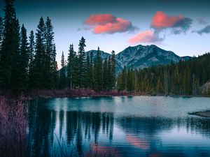 Preview wallpaper lake, mountains, forest, landscape, nature