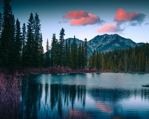 Preview wallpaper lake, mountains, forest, landscape, nature