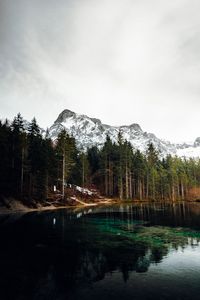 Preview wallpaper lake, mountains, forest, reflection