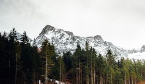 Preview wallpaper lake, mountains, forest, reflection
