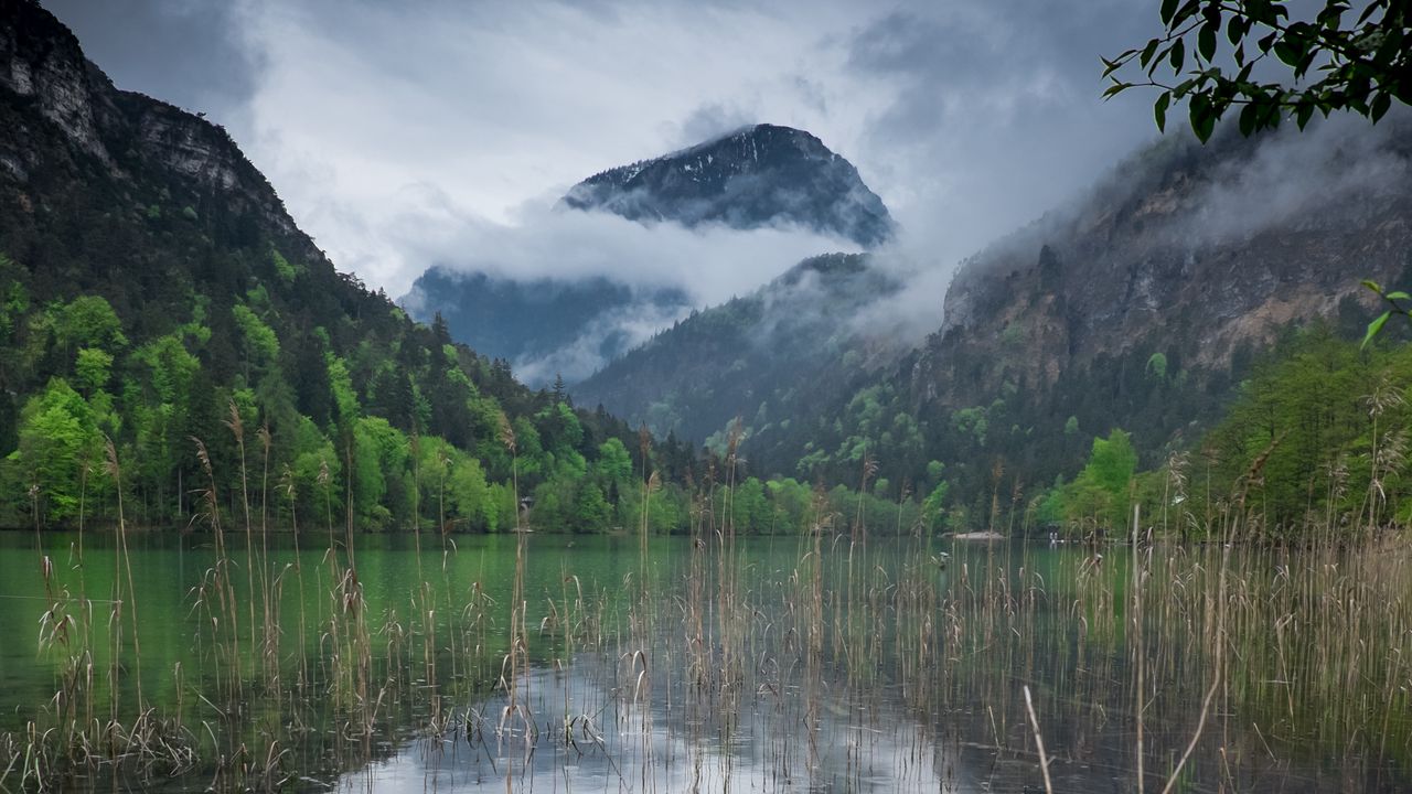 Wallpaper lake, mountains, forest, clouds, landscape