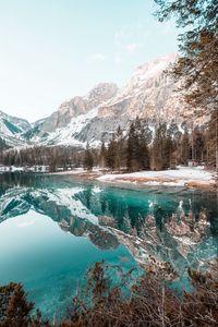 Preview wallpaper lake, mountains, forest, spruce, scenery