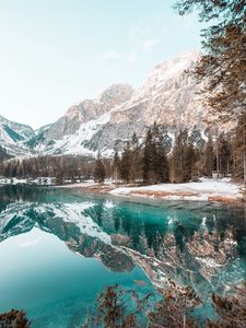 Preview wallpaper lake, mountains, forest, spruce, scenery