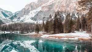 Preview wallpaper lake, mountains, forest, spruce, scenery