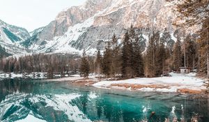 Preview wallpaper lake, mountains, forest, spruce, scenery