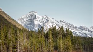 Preview wallpaper lake, mountains, forest, trees, landscape