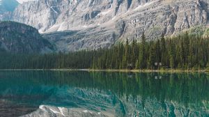 Preview wallpaper lake, mountains, forest, reflection, water, landscape