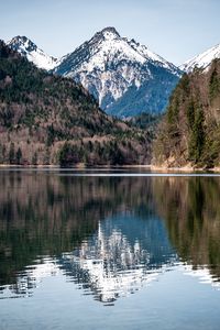 Preview wallpaper lake, mountains, forest, water, reflection, landscape