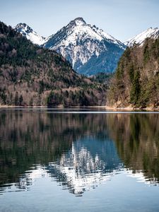 Preview wallpaper lake, mountains, forest, water, reflection, landscape