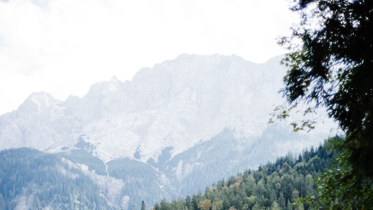 Wallpaper lake, mountains, rocks, branch, trees