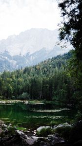 Preview wallpaper lake, mountains, rocks, branch, trees