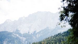 Preview wallpaper lake, mountains, rocks, branch, trees