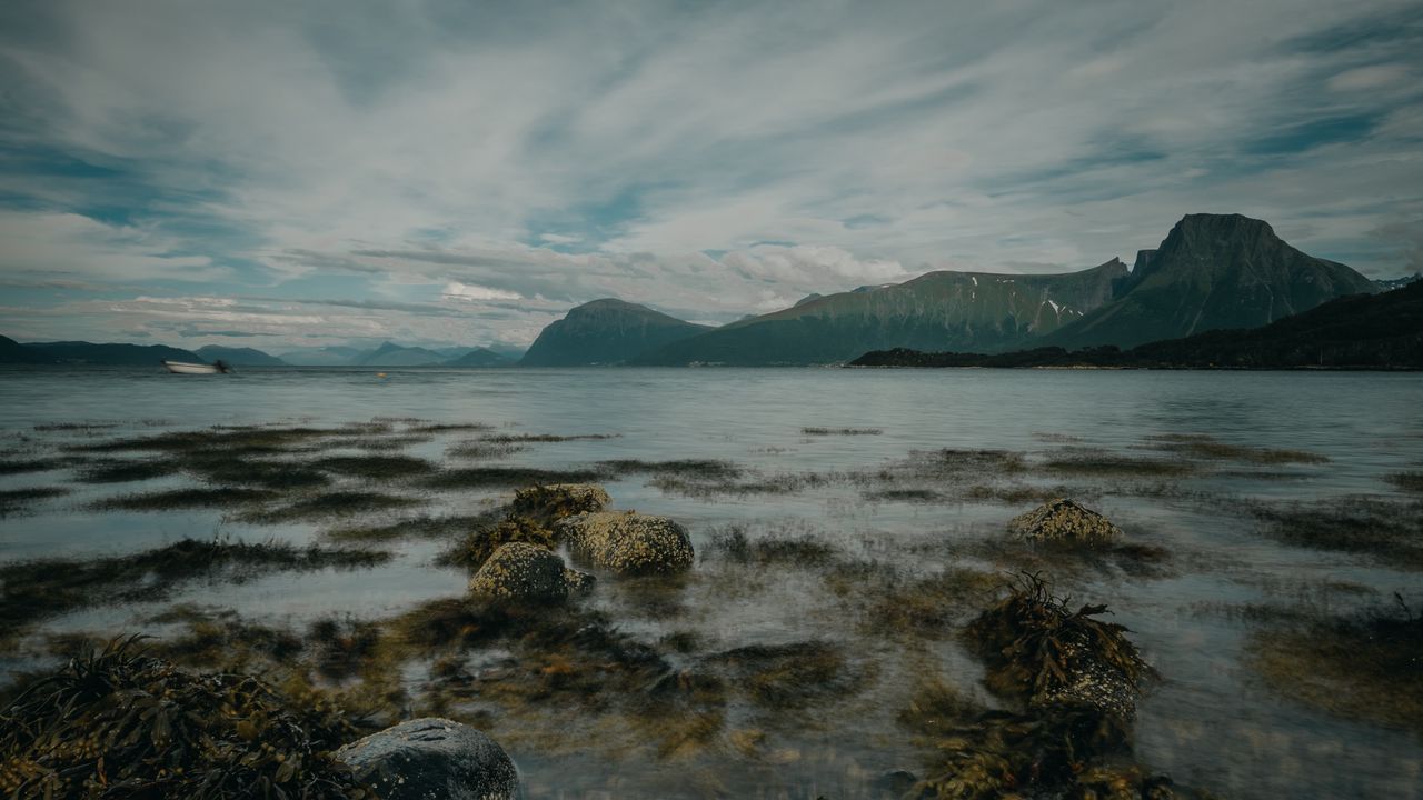 Wallpaper lake, mountains, shore, stones, seaweed