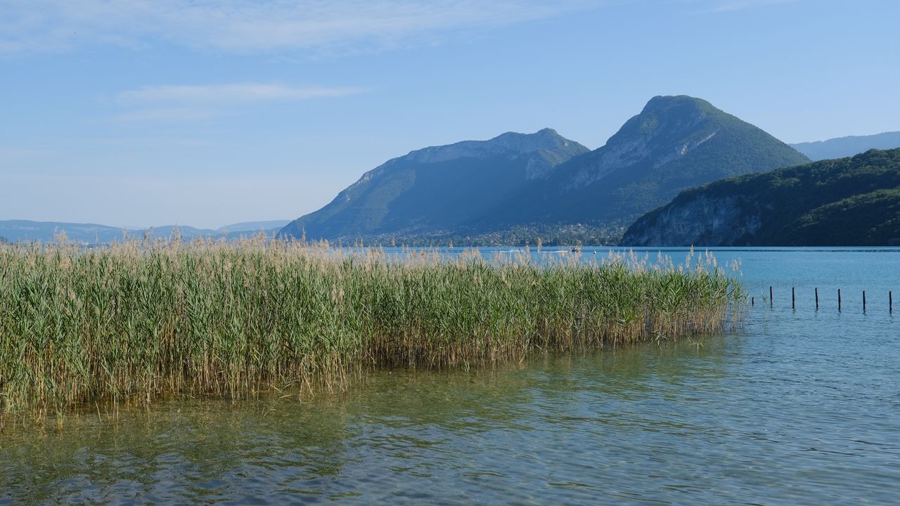 Wallpaper lake, mountains, shore, water, reeds