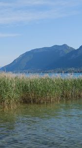 Preview wallpaper lake, mountains, shore, water, reeds