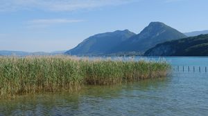 Preview wallpaper lake, mountains, shore, water, reeds