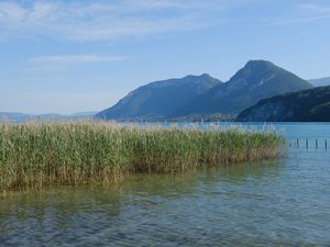 Preview wallpaper lake, mountains, shore, water, reeds