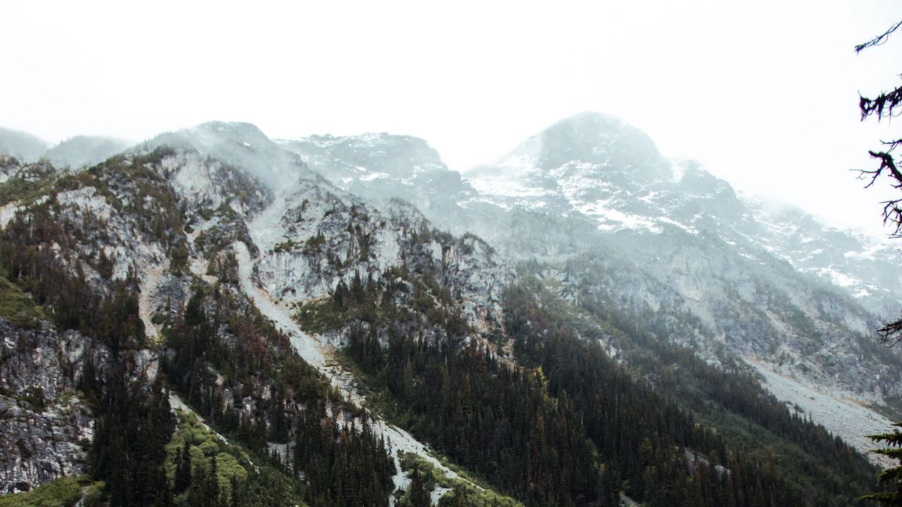 Wallpaper lake, mountains, slope, snowy, trees