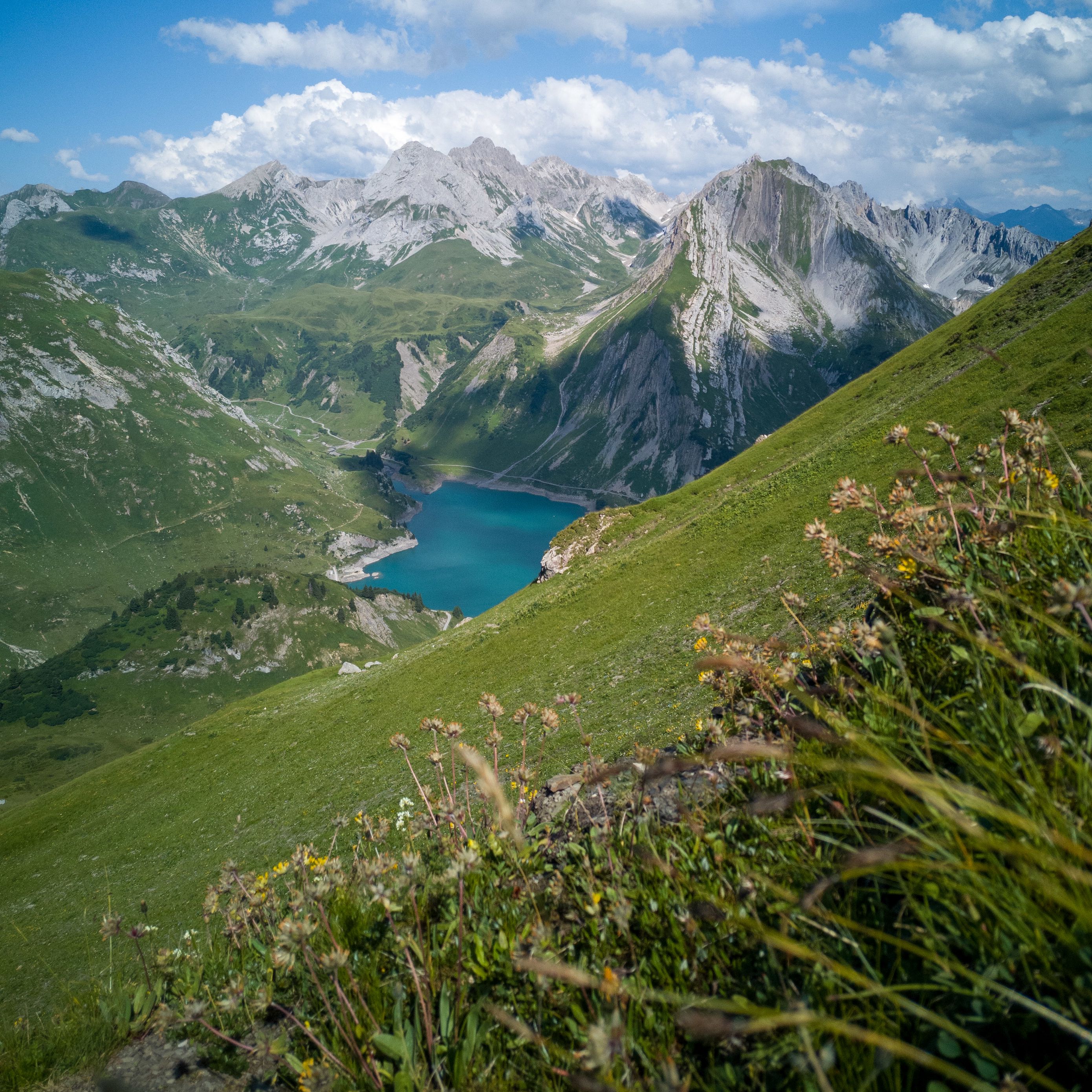 Download Wallpaper 2780x2780 Lake Mountains Slope Grass Nature Ipad 
