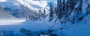 Preview wallpaper lake, mountains, snow, trees, winter, landscape