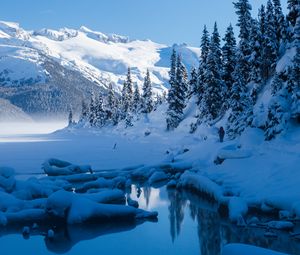 Preview wallpaper lake, mountains, snow, trees, winter, landscape