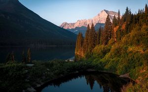 Preview wallpaper lake, mountains, spruce, trees, water