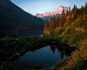 Preview wallpaper lake, mountains, spruce, trees, water