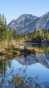 Preview wallpaper lake, mountains, spruce, trees, branches