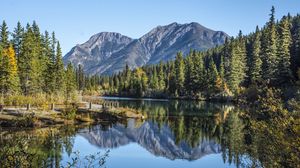 Preview wallpaper lake, mountains, spruce, trees, branches