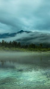 Preview wallpaper lake, mountains, spruce, trees, fog