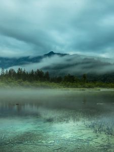 Preview wallpaper lake, mountains, spruce, trees, fog