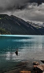 Preview wallpaper lake, mountains, stones, cloudy, despondency