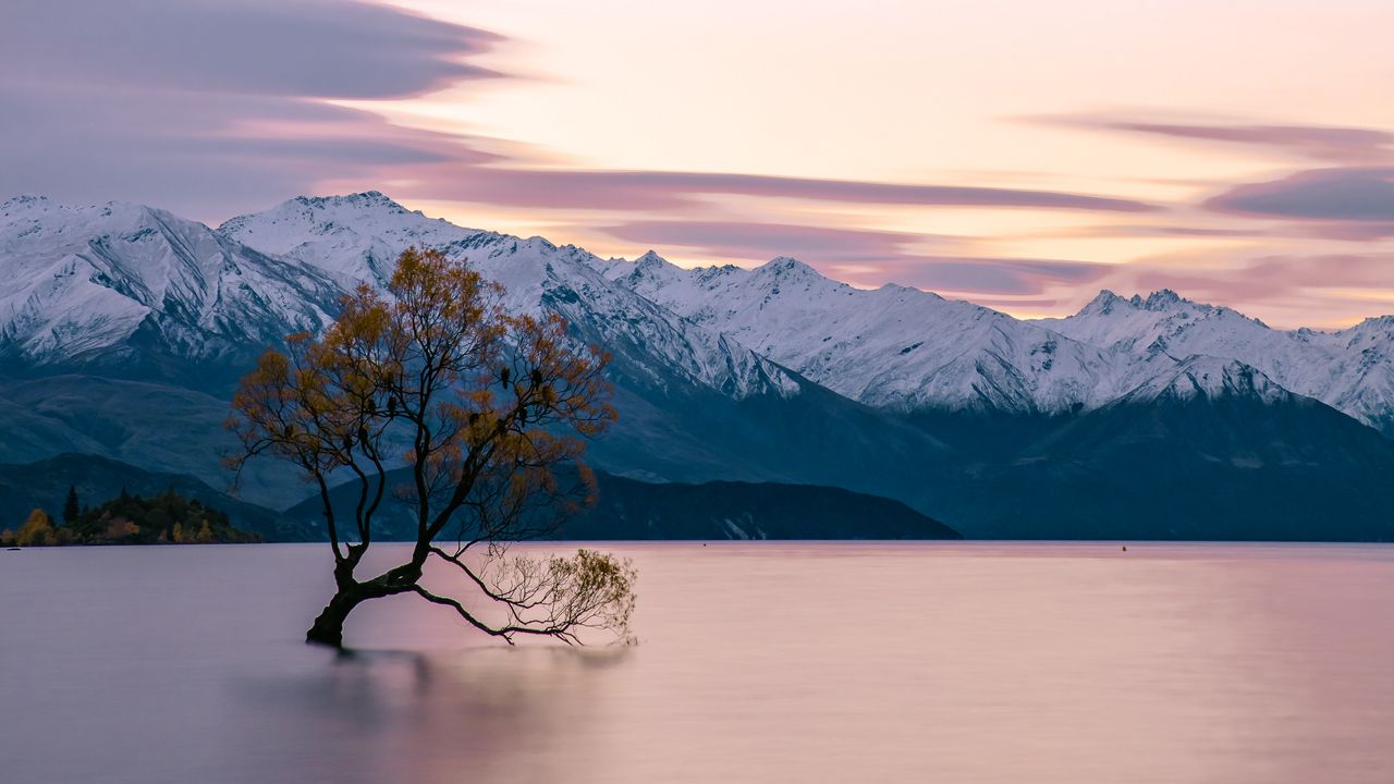 Wallpaper lake, mountains, tree, serenity, tranquility