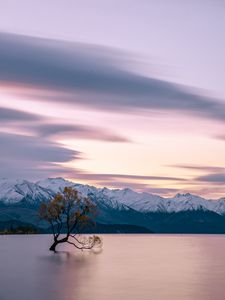 Preview wallpaper lake, mountains, tree, serenity, tranquility