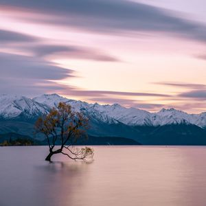 Preview wallpaper lake, mountains, tree, serenity, tranquility