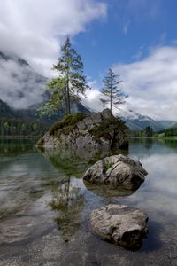 Preview wallpaper lake, mountains, tree, stones, germany