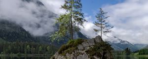 Preview wallpaper lake, mountains, tree, stones, germany