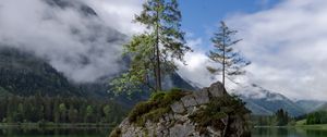 Preview wallpaper lake, mountains, tree, stones, germany