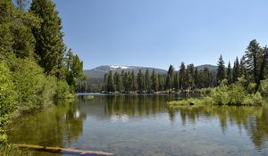 Preview wallpaper lake, mountains, trees, forest, reflection, landscape