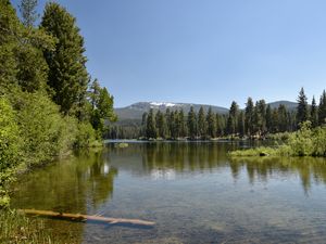 Preview wallpaper lake, mountains, trees, forest, reflection, landscape