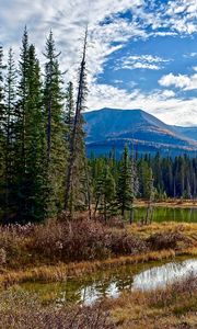 Preview wallpaper lake, mountains, trees