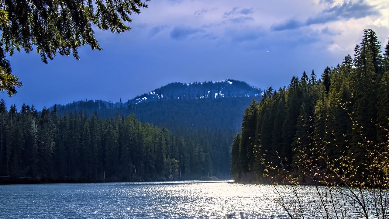 Wallpaper lake, mountains, trees, branches, landscape