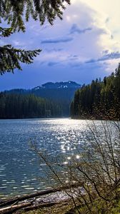 Preview wallpaper lake, mountains, trees, branches, landscape