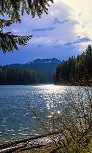 Preview wallpaper lake, mountains, trees, branches, landscape