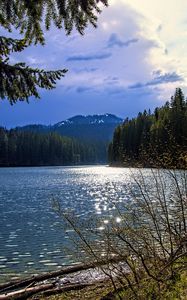 Preview wallpaper lake, mountains, trees, branches, landscape